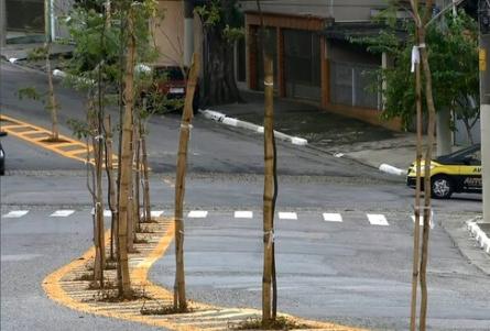 Prefeitura de SP planta rvores no asfalto para escapar de calada e fios PIRITUBA